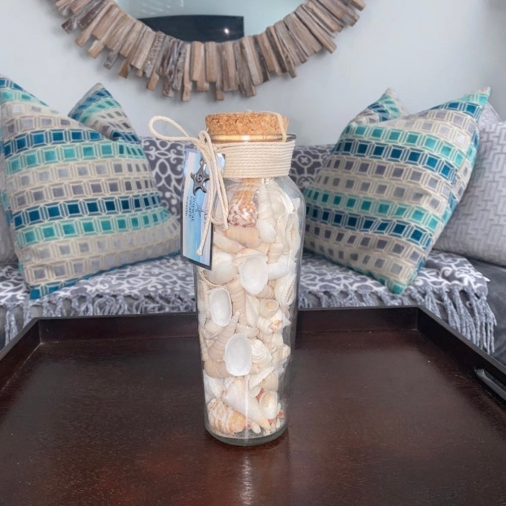 Shell decor - Picture 3 of 4